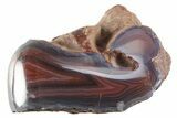 Colorful Polished Banded Agate - Zimbabwe #355900-1